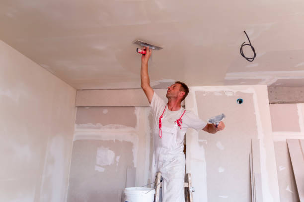 Best Fire-Damaged Drywall Repair  in Warren, IN