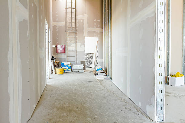 Best Drywall Installation  in Warren, IN